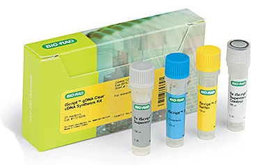 iScript? gDNA Clear cDNA Synthesis Kit