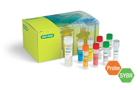 Cell Lysis RT-qPCR Kits